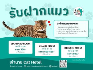 รับฝากแมว