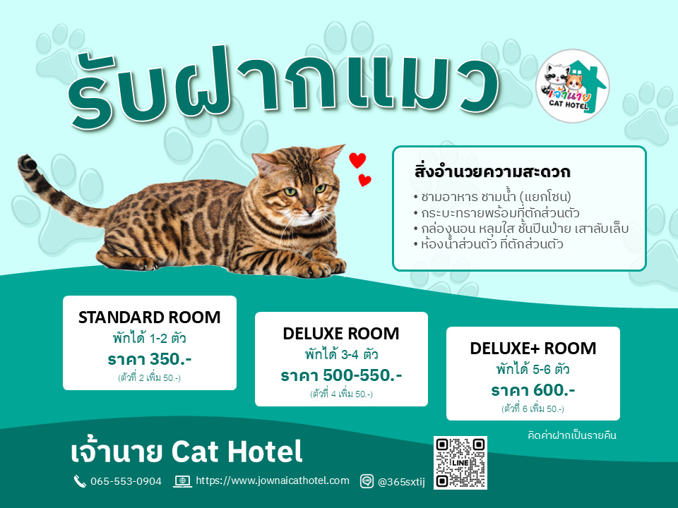 รับฝากแมว