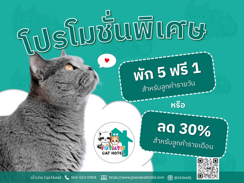 โปรโมชั่นพิเศษ
